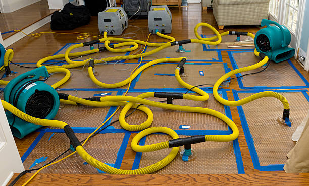 Professional Crawl Space Water Removal technician working in Highland, MI